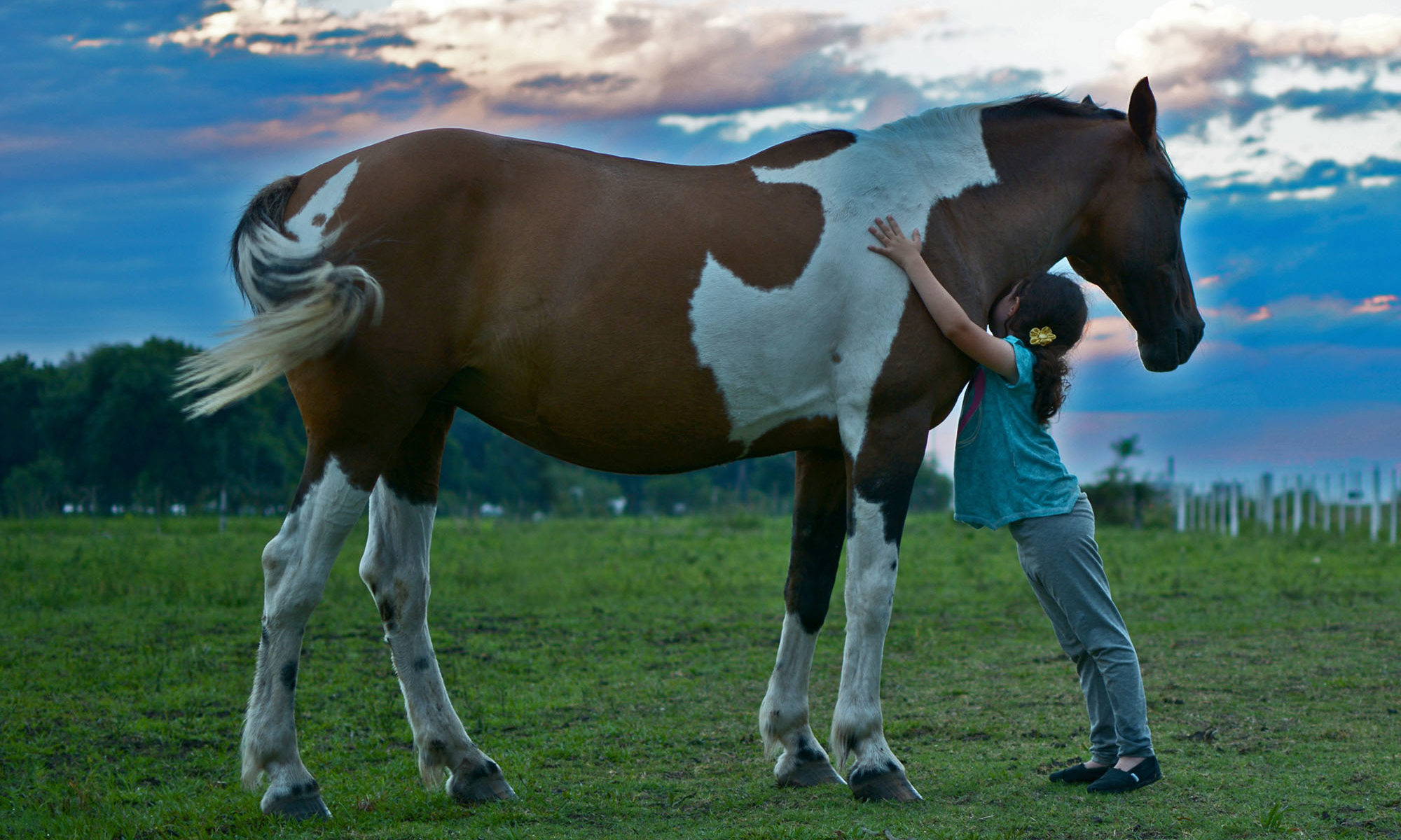 girl hugs horse